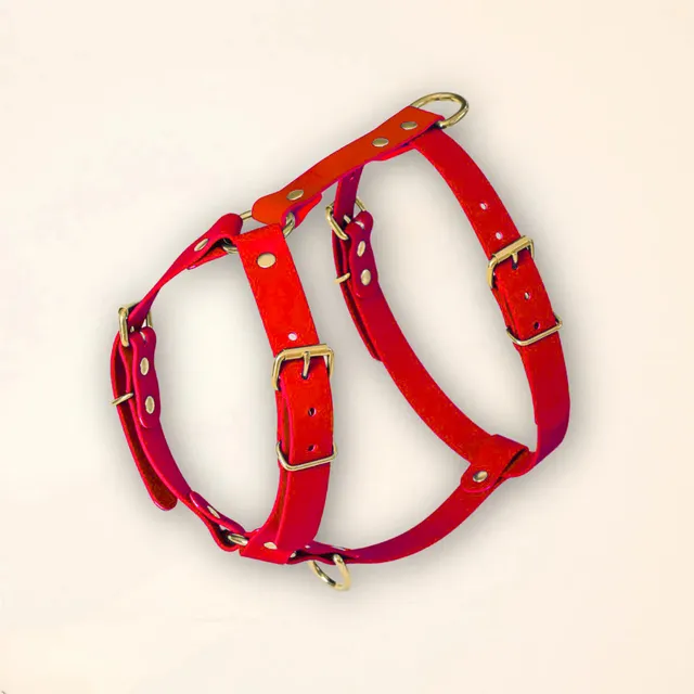 fid-le-paris-harnais-chien-rouge-ergonomique-imperm-able image 1