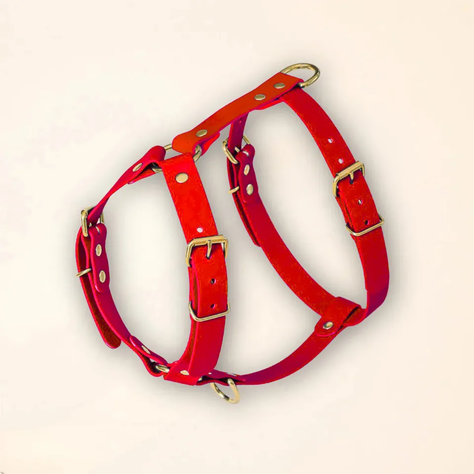 fid-le-paris-harnais-chien-rouge-ergonomique-imperm-able image 1