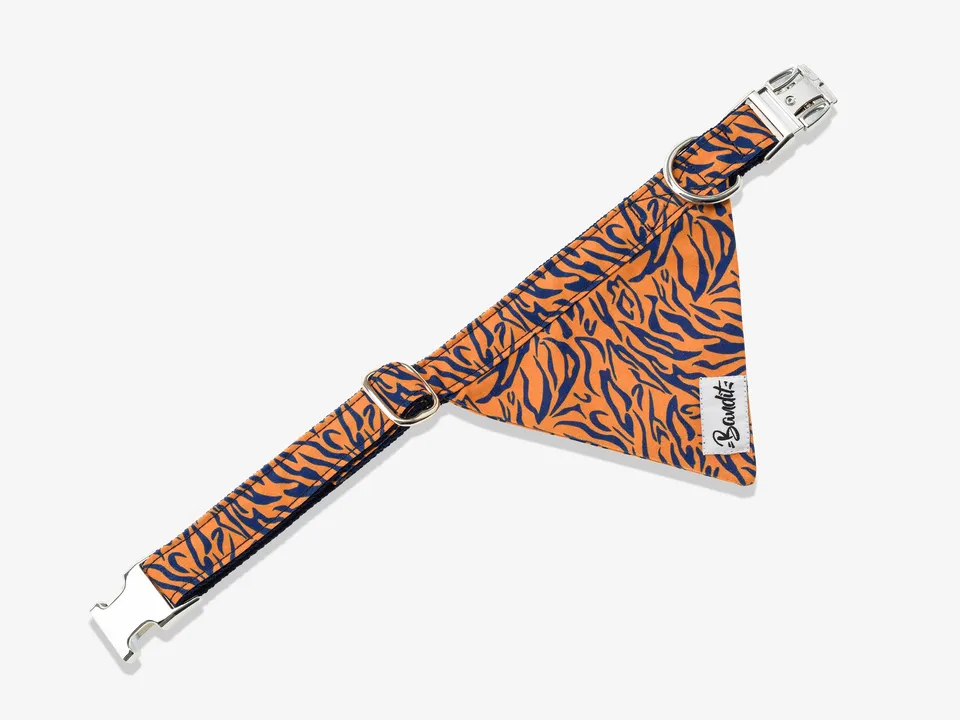 bandit-bandanas-pour-chien-tigr-orange-bleu-bandana-petit-chien image 1