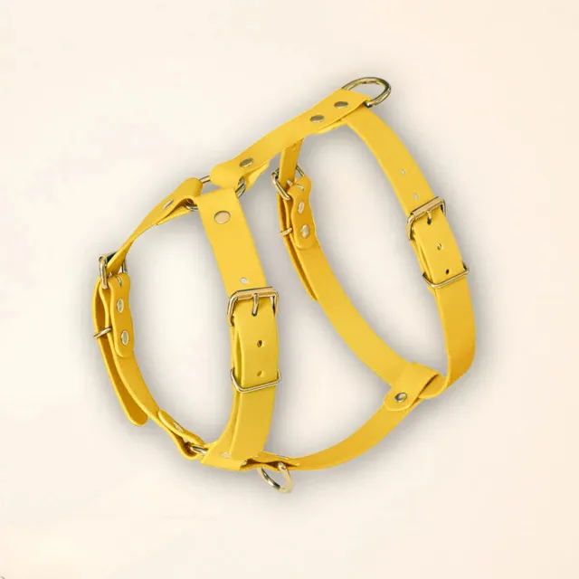 fid-le-harnais-jaune-harnais-chien-confort-tpu image 1