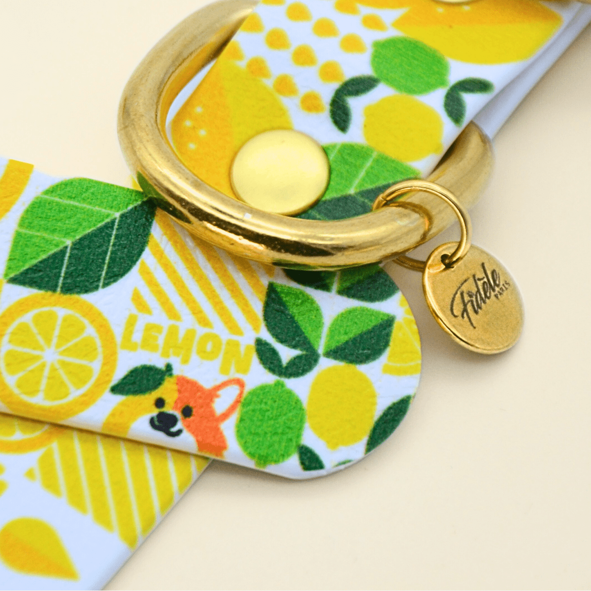 fid-le-paris-laisse-multi-positions-lemon-jaune-biothane image 2