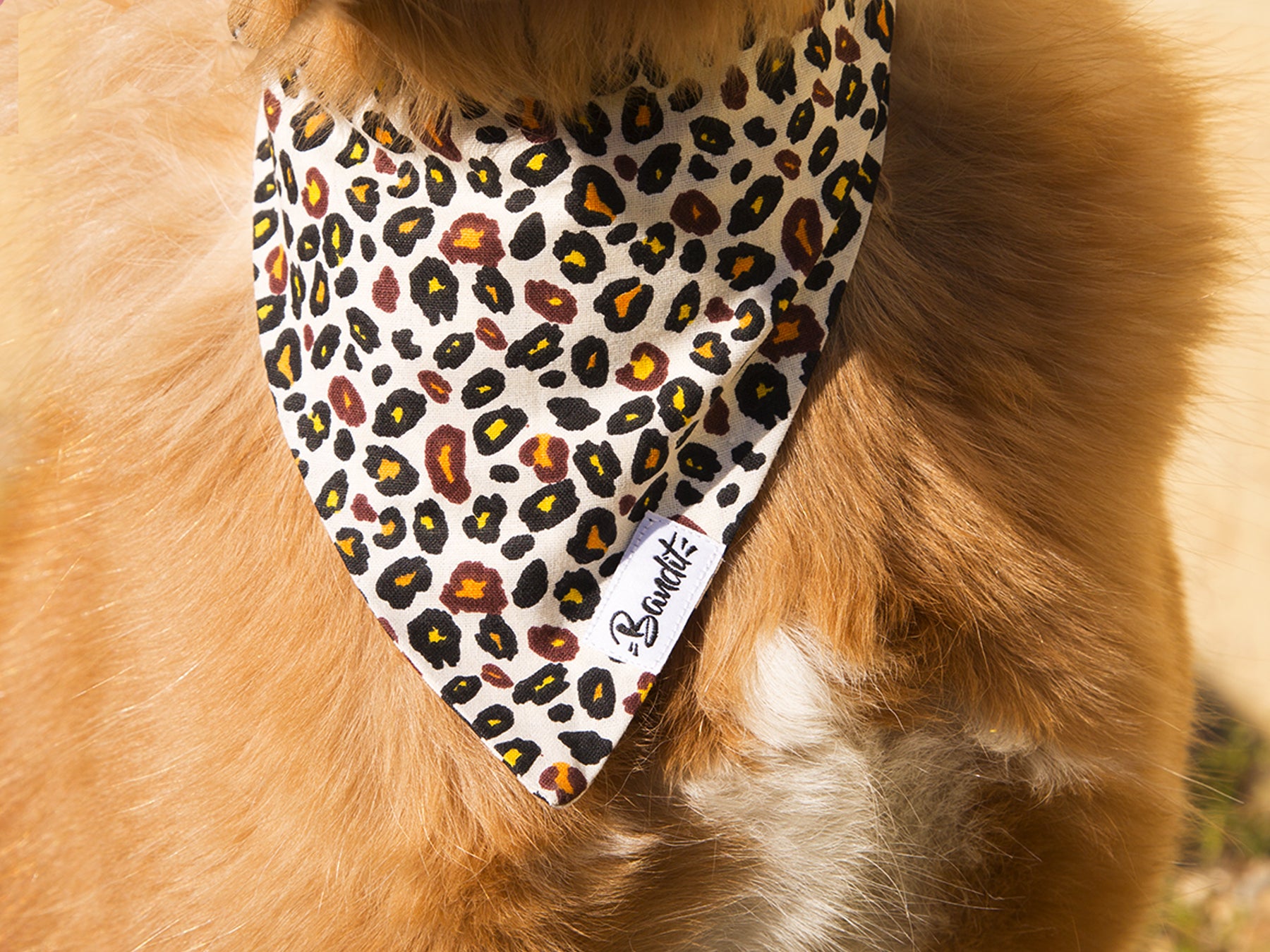 bandit-l-opard-bandana-chien-moyen-imprim image 5
