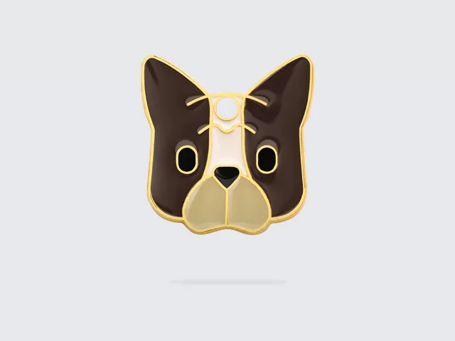 bandit-m-daille-bouledogue-pour-chien-personnalisable image 1
