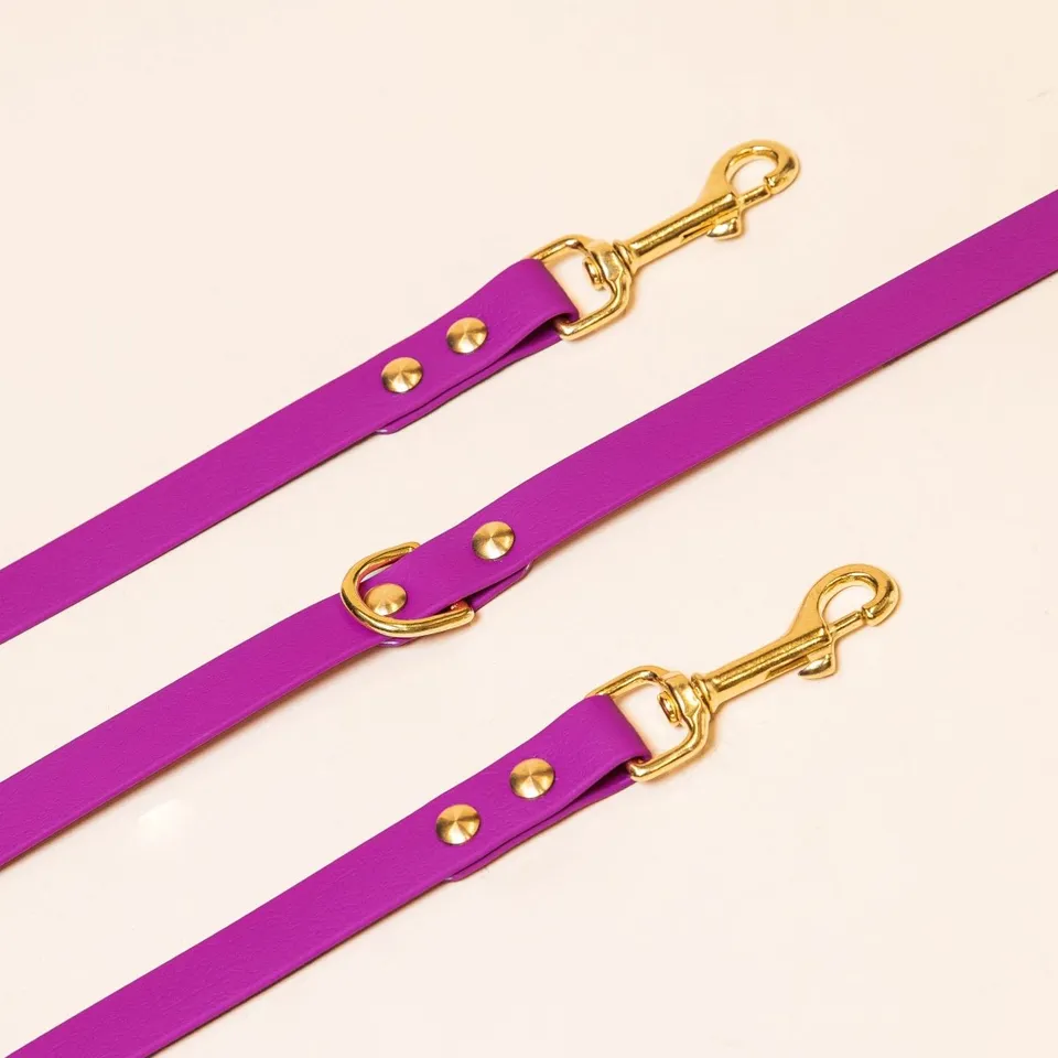 fid-le-paris-laisse-multi-positions-chien-rose-fuchsia-tpu image 1