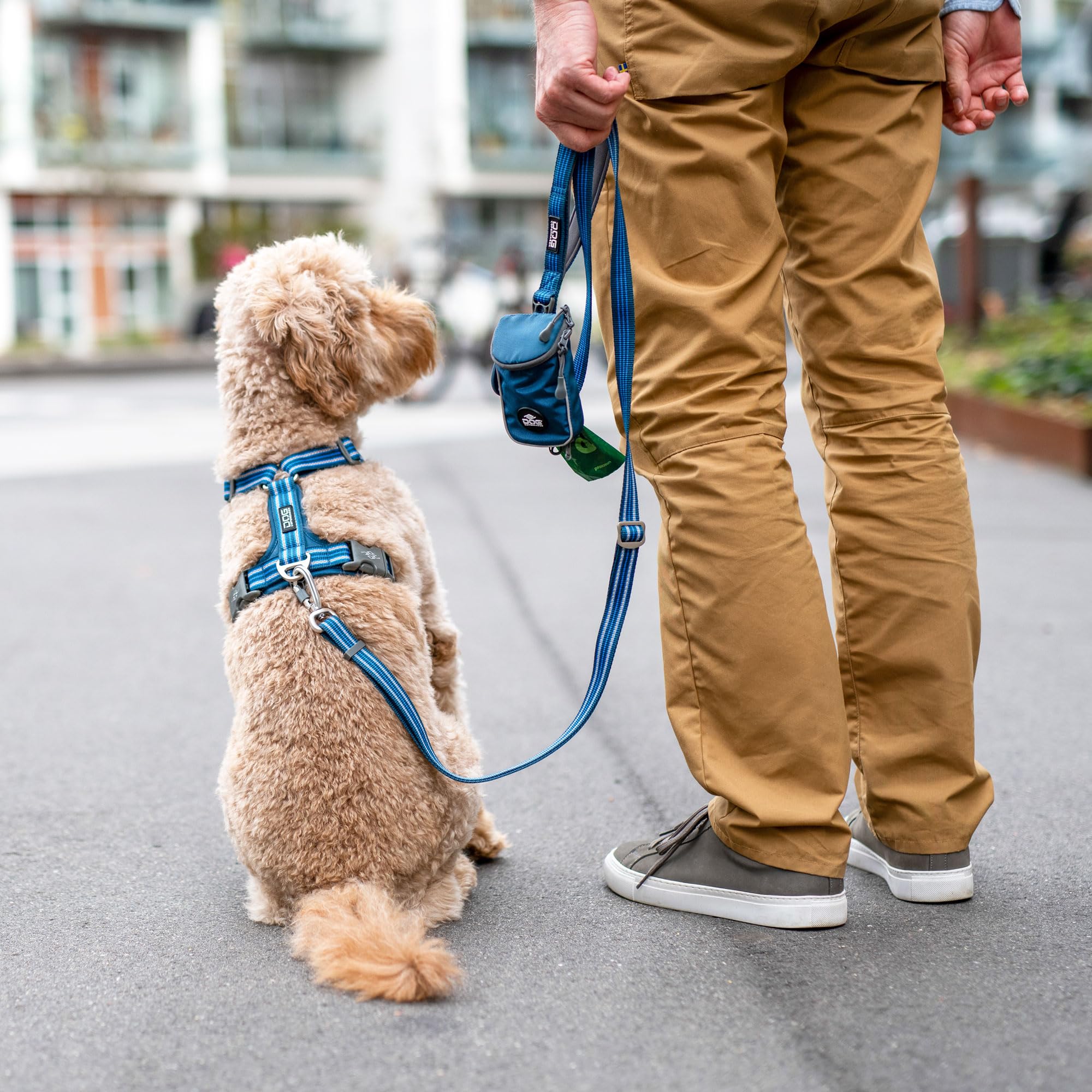 dog-copenhagen-urban-freestyle-3-0-laisse-chien-beige-l-200cm image 7