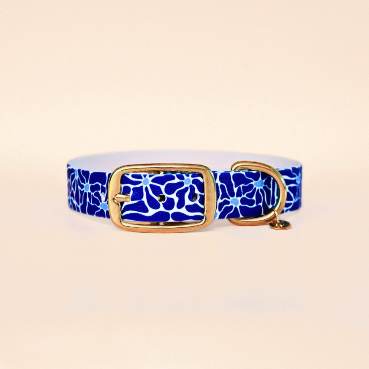 fid-le-paris-z-phir-collier-chien-bleu-vague-t image 1