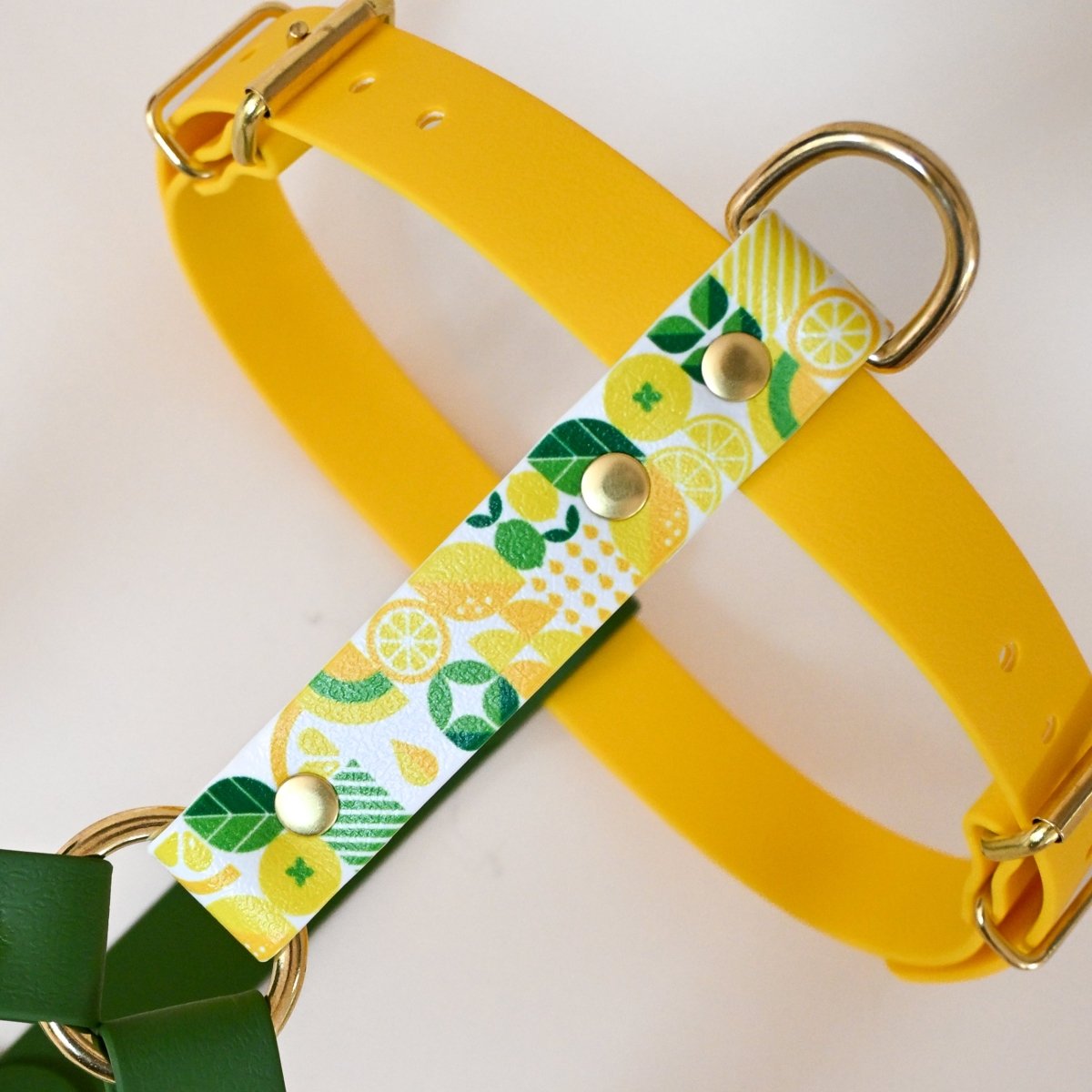 fid-le-paris-harnais-lemon-harnais-jaune-libert-y image 2