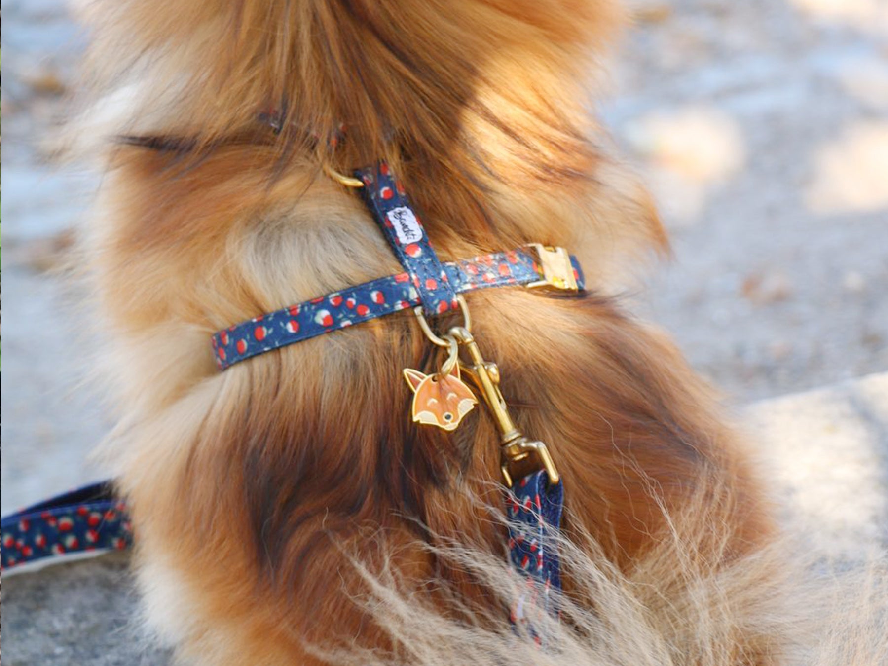 bandit-roucky-m-daille-chien-renard-gravable image 5