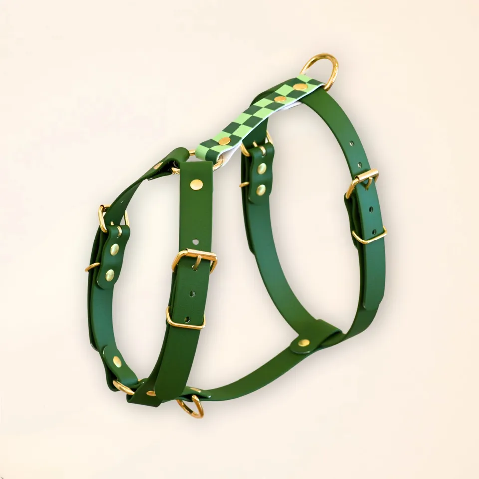 fid-le-paris-damier-harnais-chien-vert-damier-imperm-able image 1