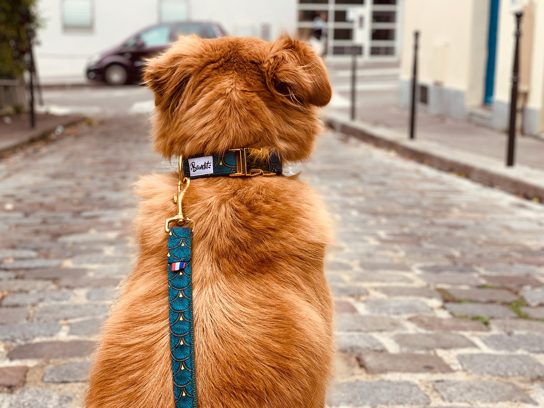 bandit-laisse-chien-verte-120-cm-unie-dolce-vita image 2