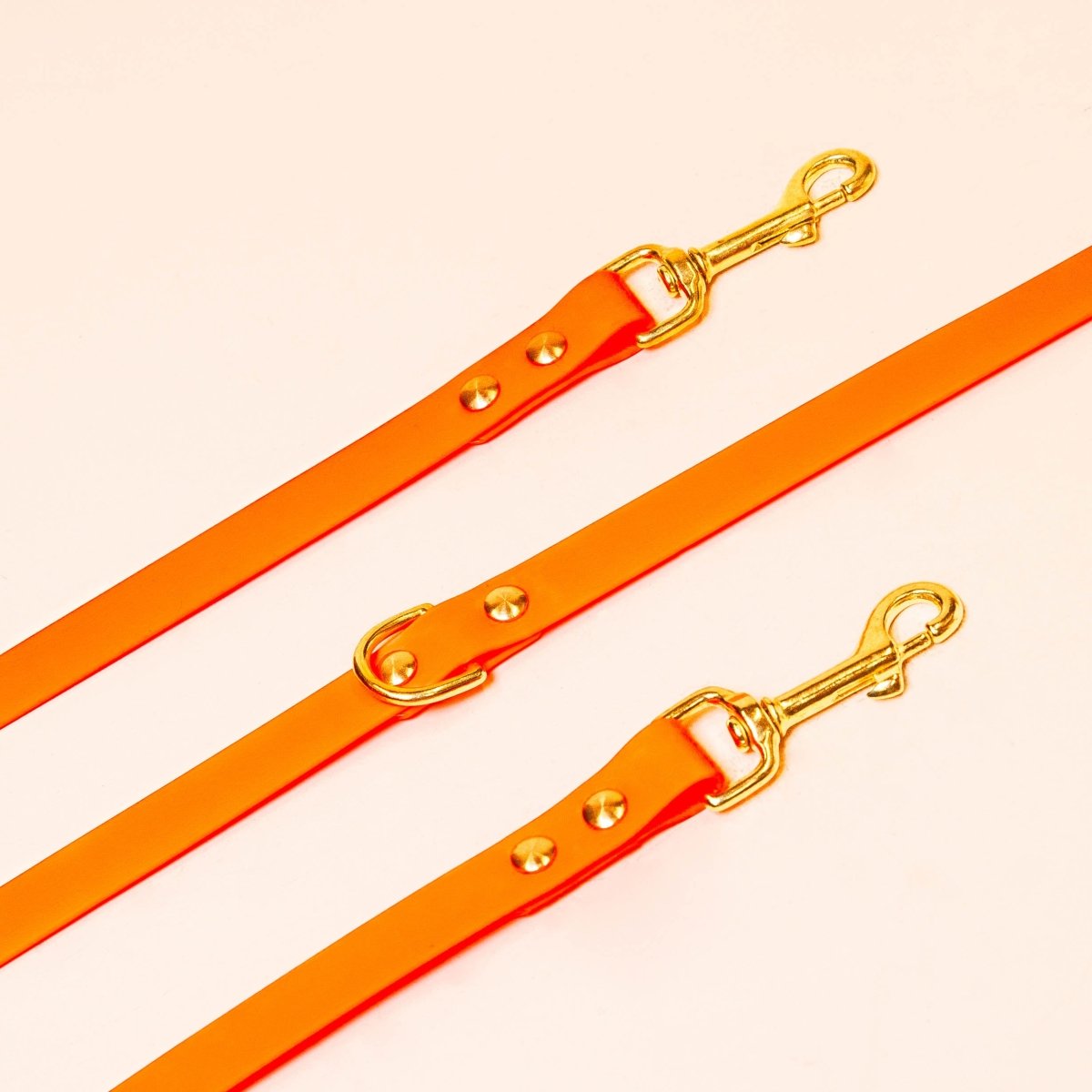 fid-le-paris-laisse-multi-positions-chien-orange-fluo-20-mm image 1