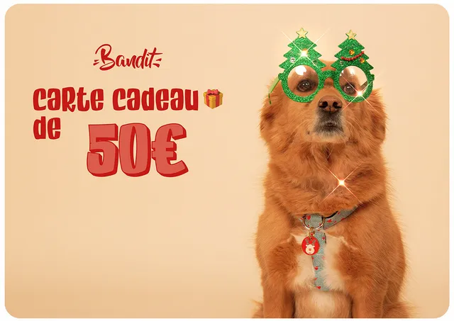 bandit-carte-cadeau-e-mail-50-chien-chat image 1
