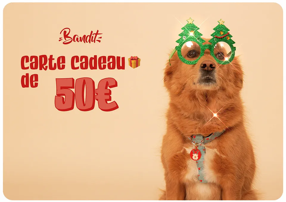 bandit-carte-cadeau-e-mail-50-chien-chat image 1