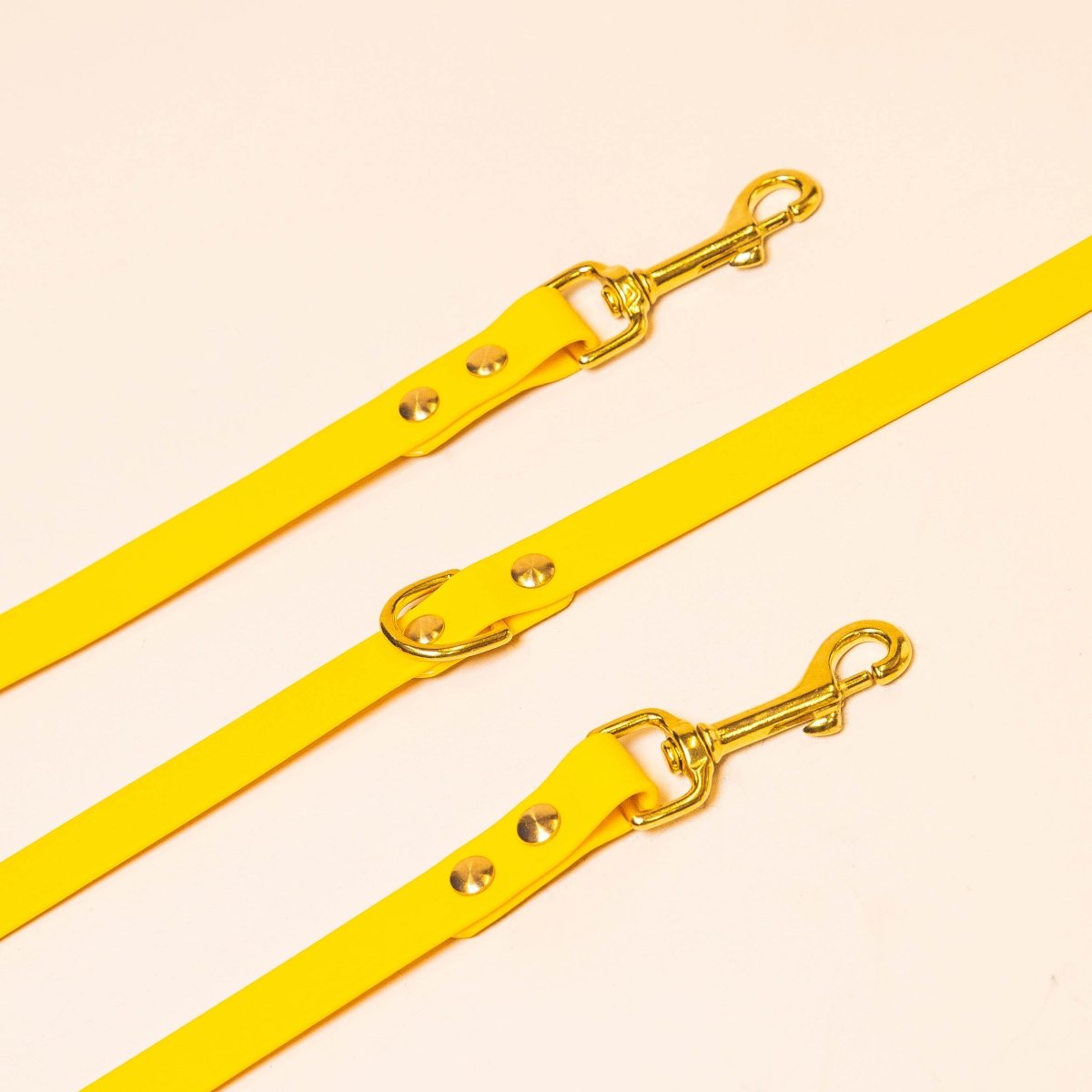 fid-le-paris-laisse-multi-positions-jaune-20-mm-imperm-able image 1
