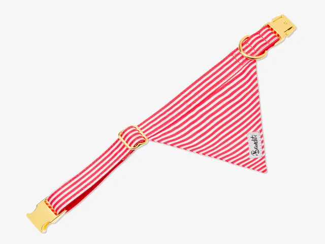 bandit-les-bains-bandana-pour-chien-ray-rouge image 1
