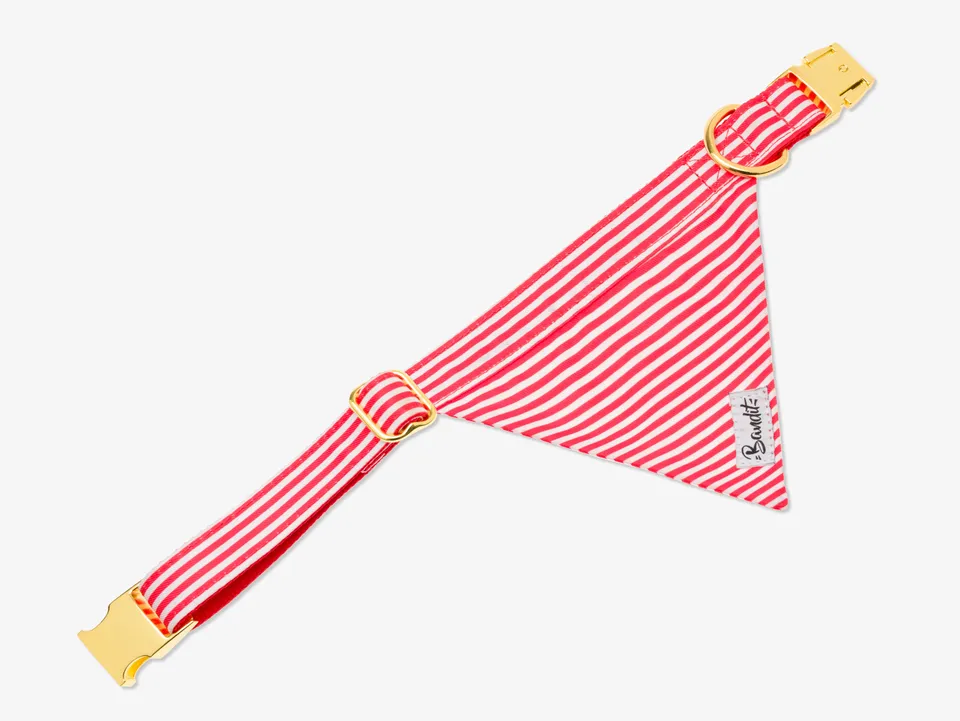 bandit-les-bains-bandana-pour-chien-ray-rouge image 1