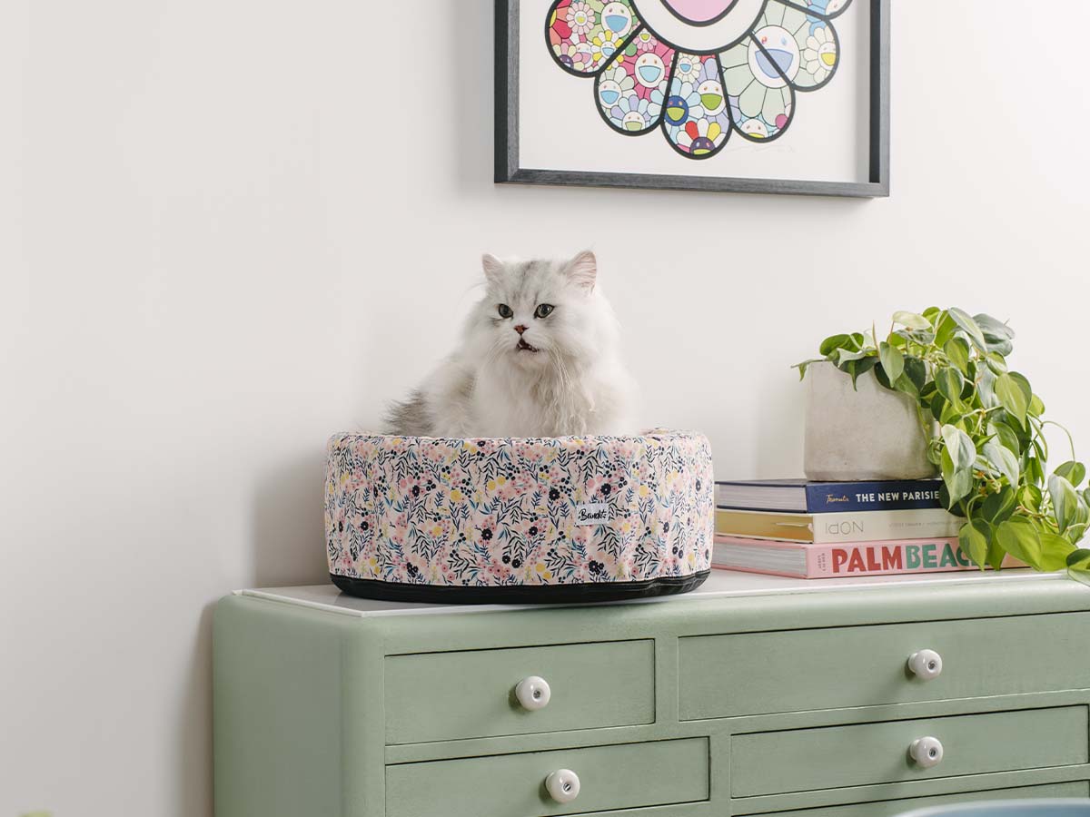 bandit-bandizzzz-panier-chat-rond-liberty-lavable image 2