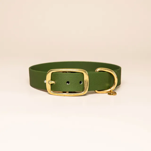 fid-le-paris-colliers-l-aventurier-collier-chien-vert-olive-laiton image 1