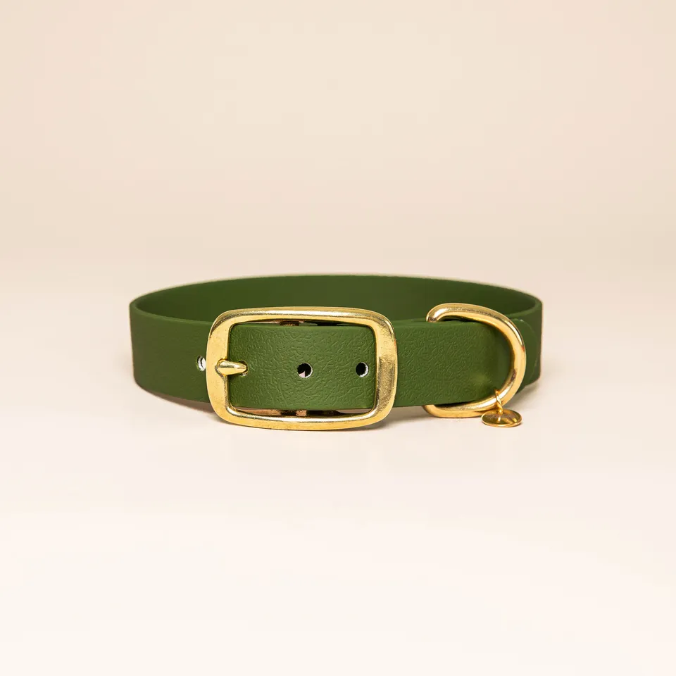 fid-le-paris-colliers-l-aventurier-collier-chien-vert-olive-laiton image 1