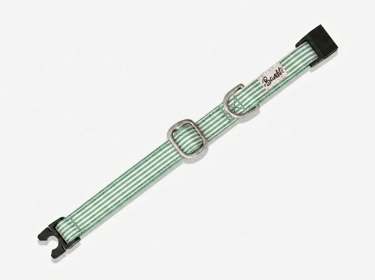 bandit-collier-chat-ray-vert-blanc-anti-tranglement image 1