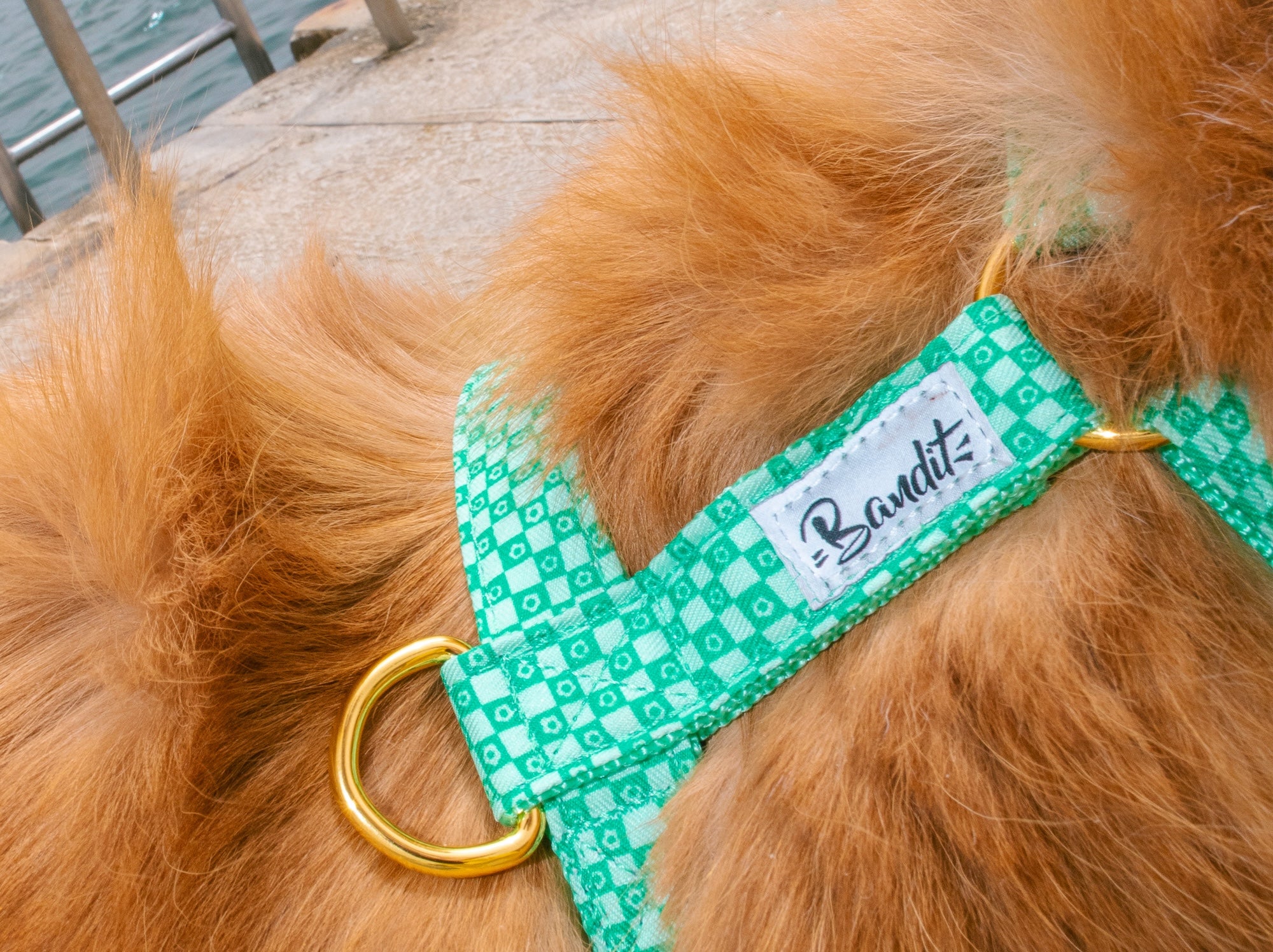 bandit-green-vibes-only-harnais-chien-carreaux-verts-m image 3