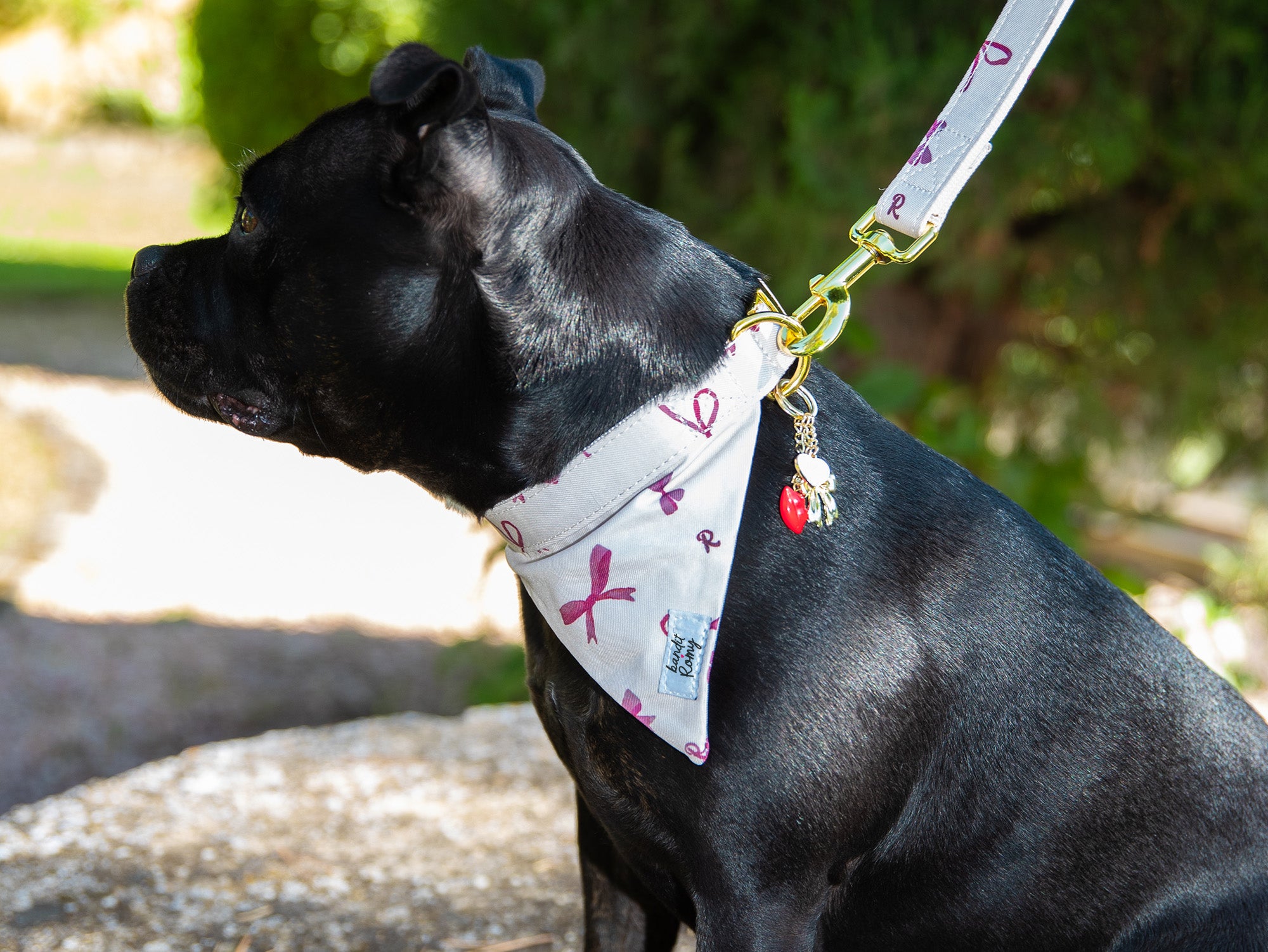 bandit-x-romy-bandana-chien-rubans-roses-chien-moyen image 2