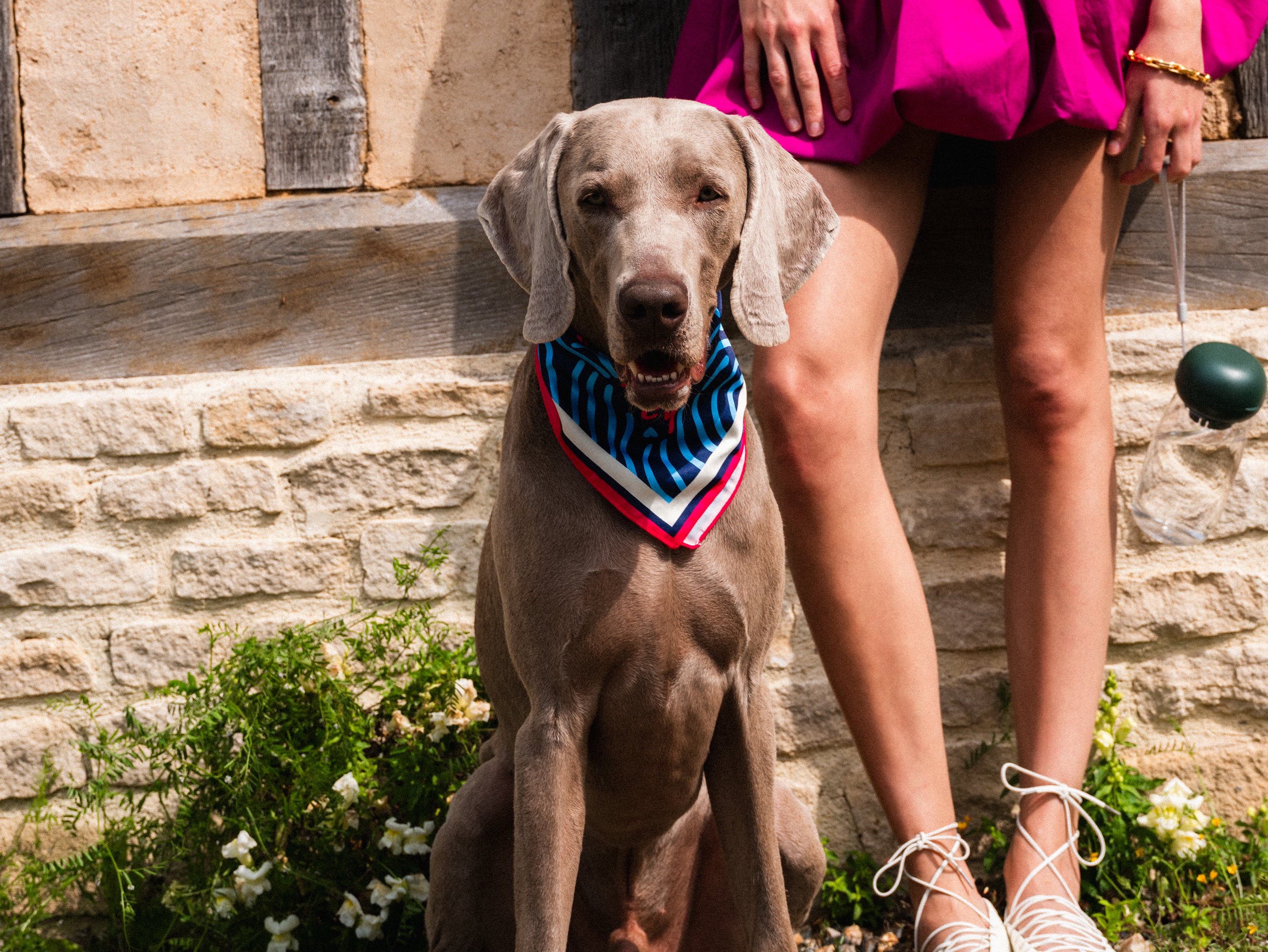 bandit-foulards-happy-snobbish-foulard-chien-bleu-nuit-s-m-l image 4