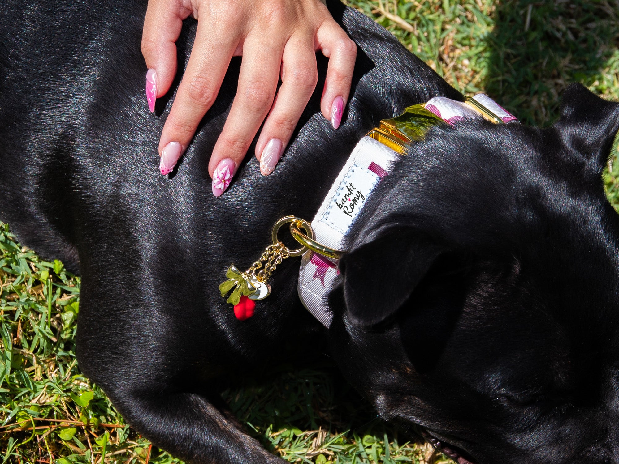bandit-colliers-romy-collier-chien-rubans-roses image 3
