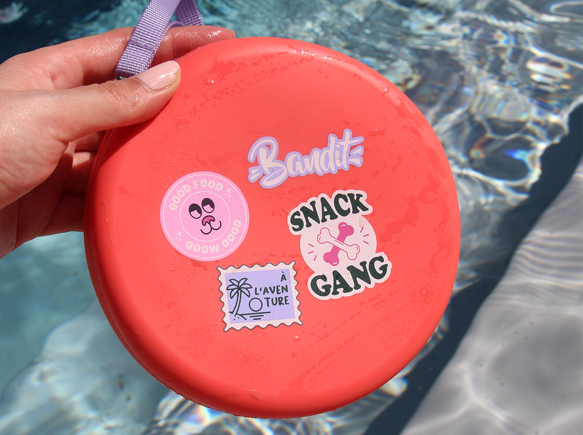 bandit-gamelles-voyage-rouge-gamelle-chien-r-tractable image 4