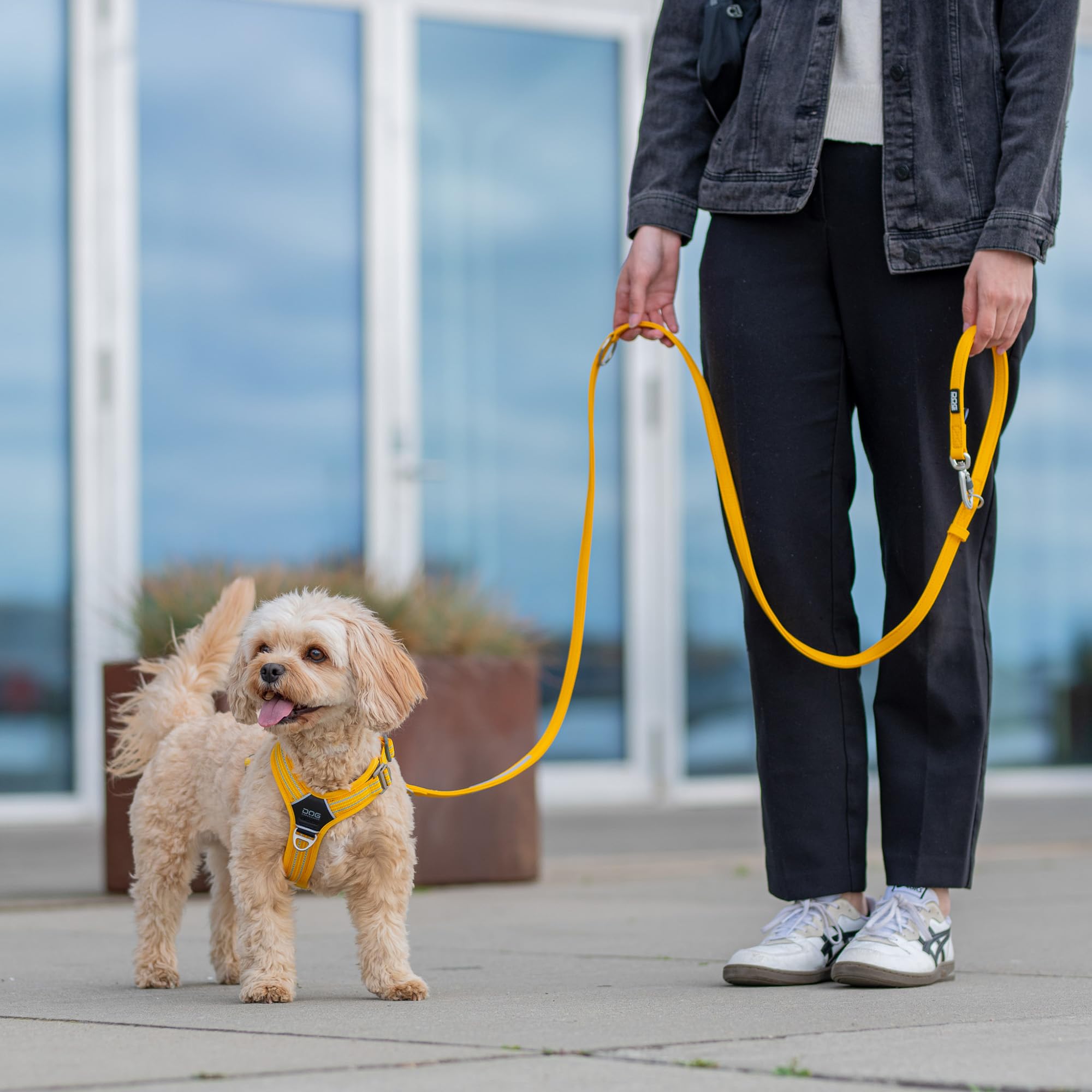 dog-copenhagen-urban-classic-laisse-chien-violet-taille-s image 7