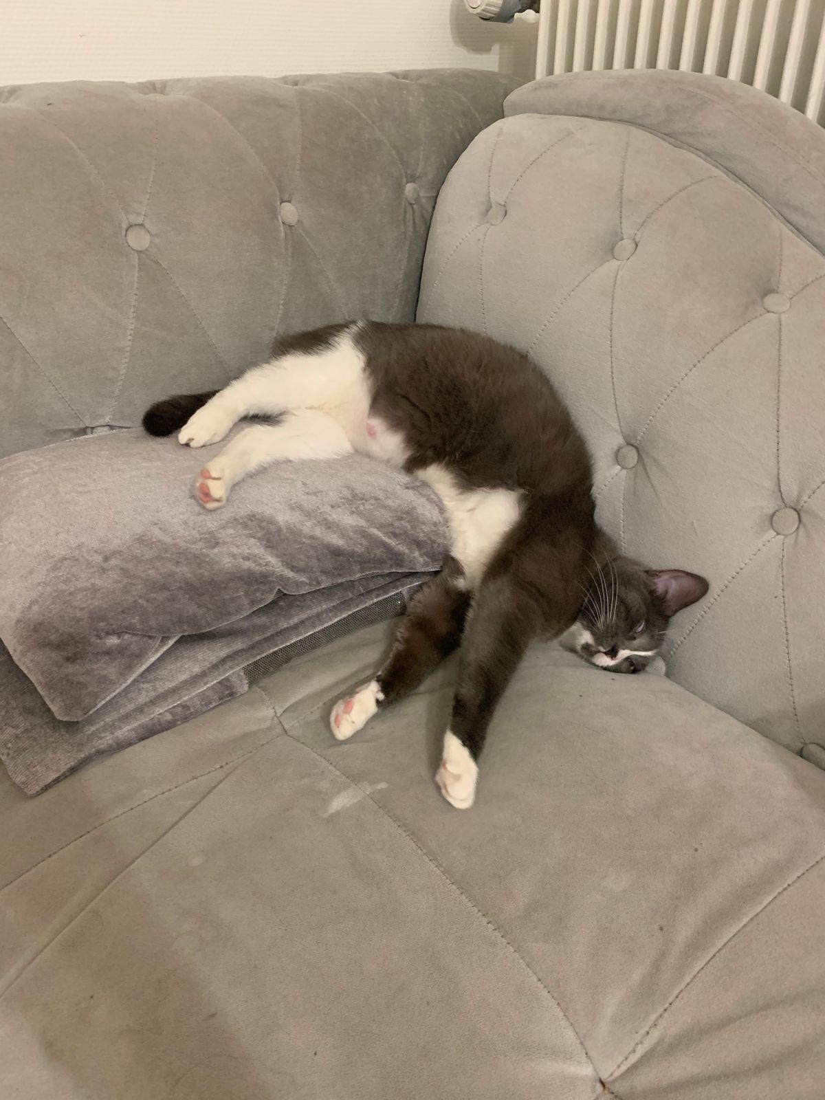 Petite rayure