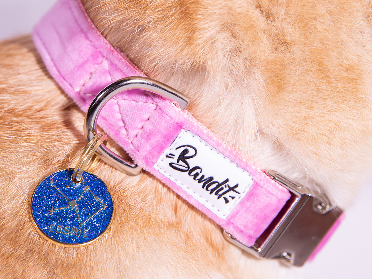 bandit-m-daille-paillettes-m-daille-chien-personnalisable-zinc image 2