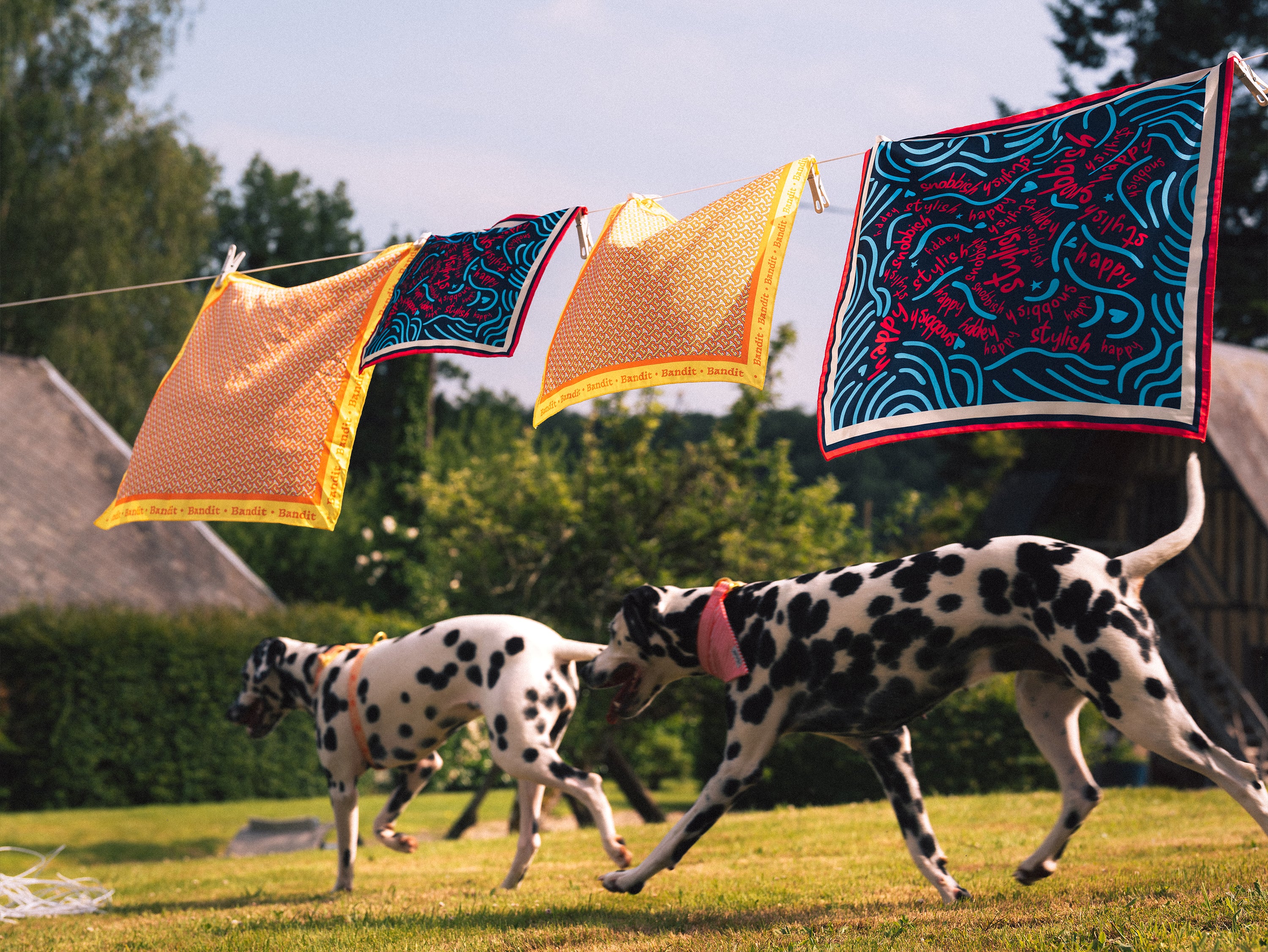 bandit-foulards-happy-snobbish-foulard-chien-bleu-nuit-s-m-l image 6