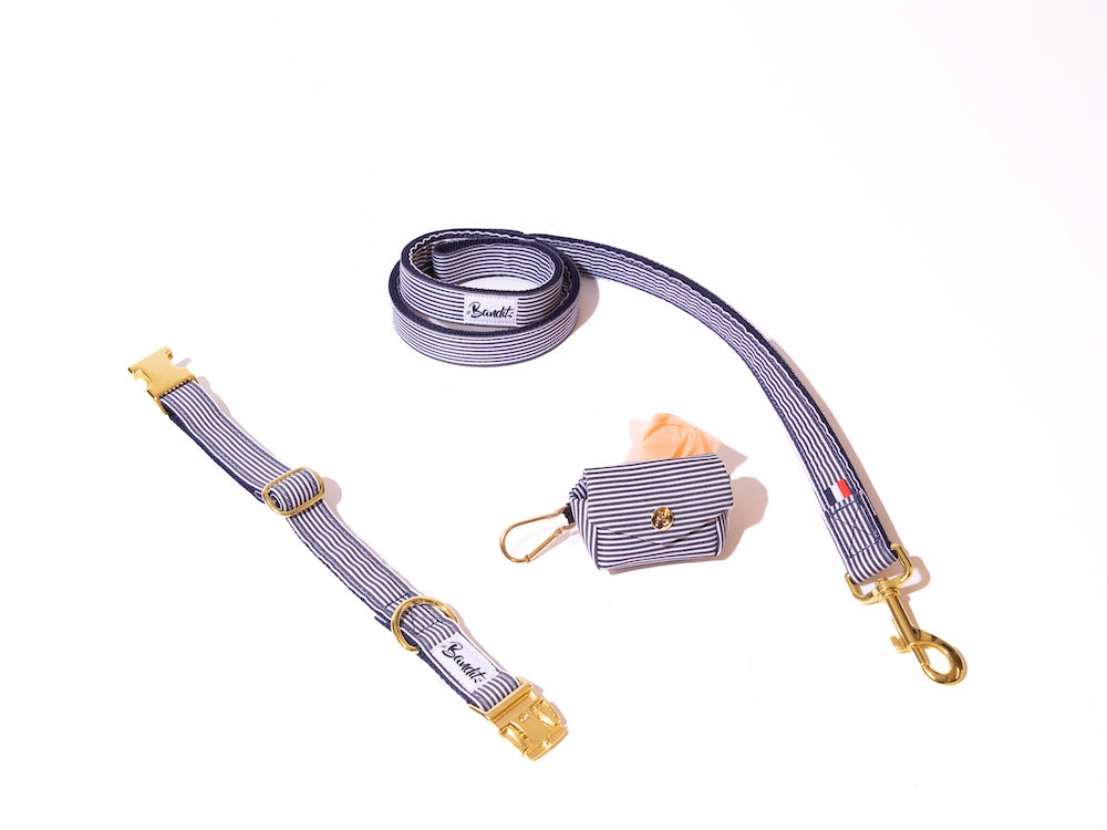 bandit-les-kits-collier-laisse-pochette-chien-moyen-the-french-banban-120cm image 5