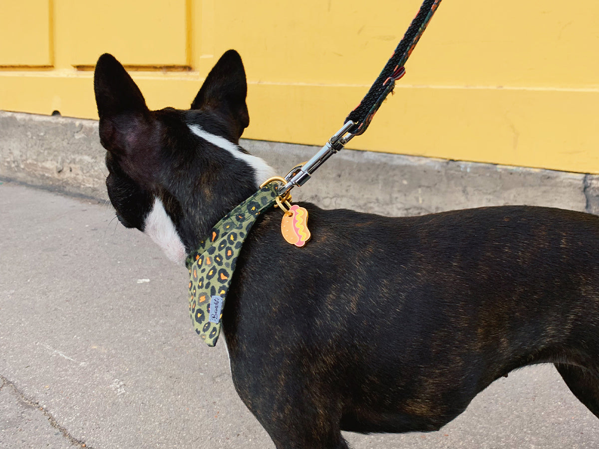 bandit-m-dailles-hot-dog-m-daille-chien-hot-dog image 3