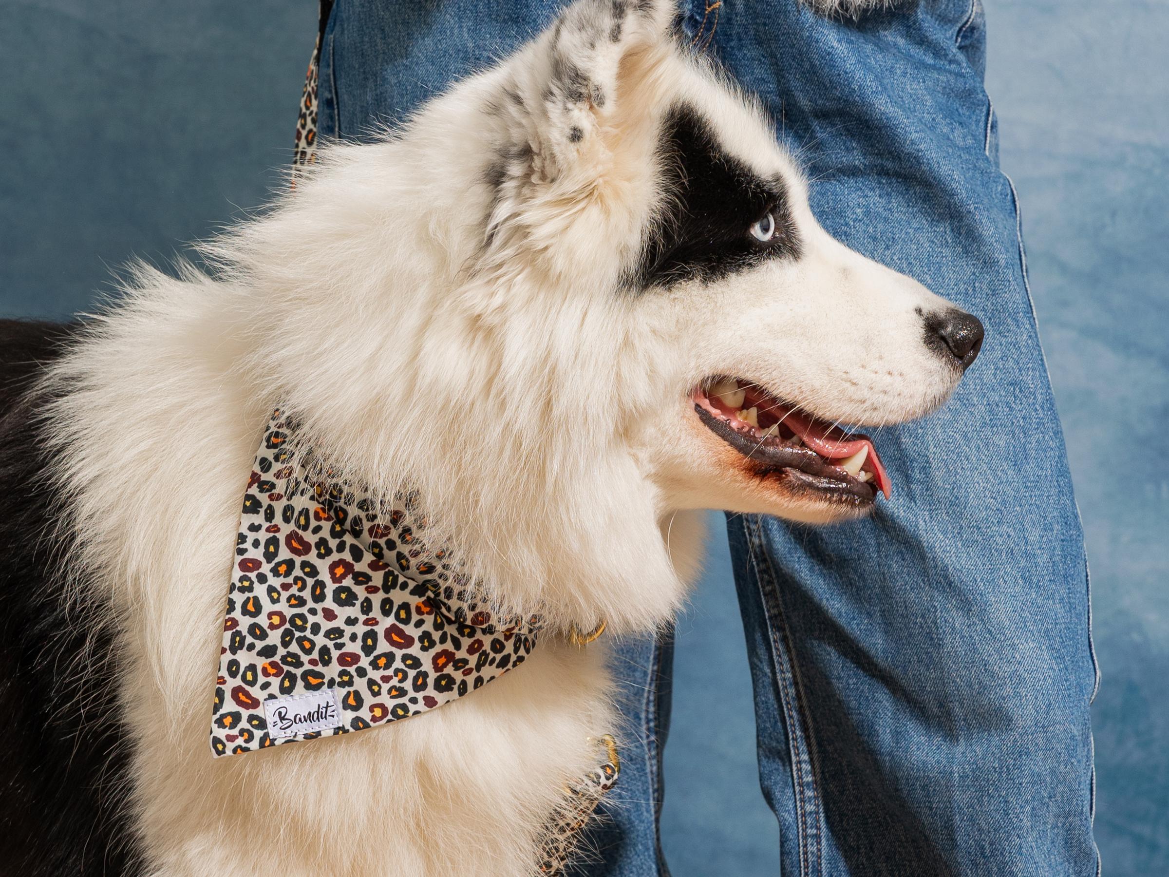 bandit-l-opard-bandana-chien-moyen-imprim image 3