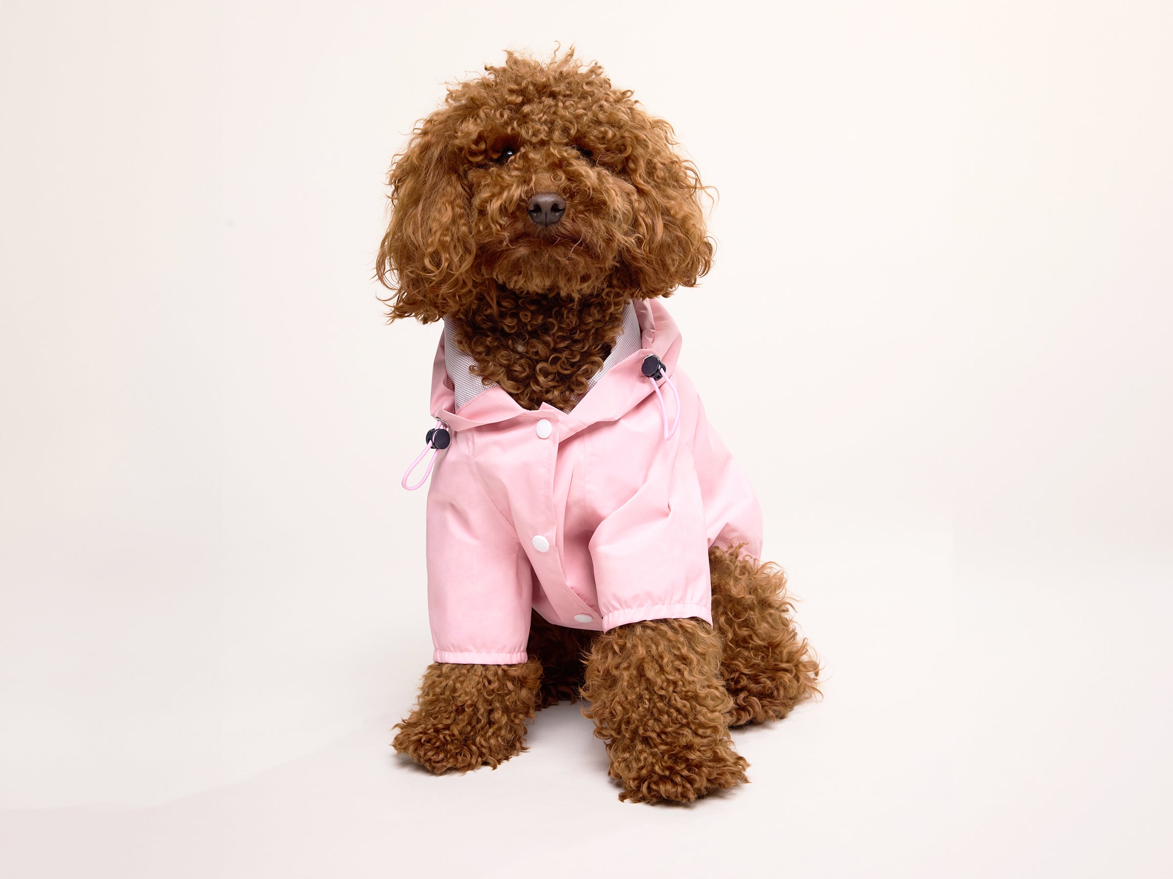 bandit-bubblegum-imperm-able-chien-rose-capuche-harnais image 4