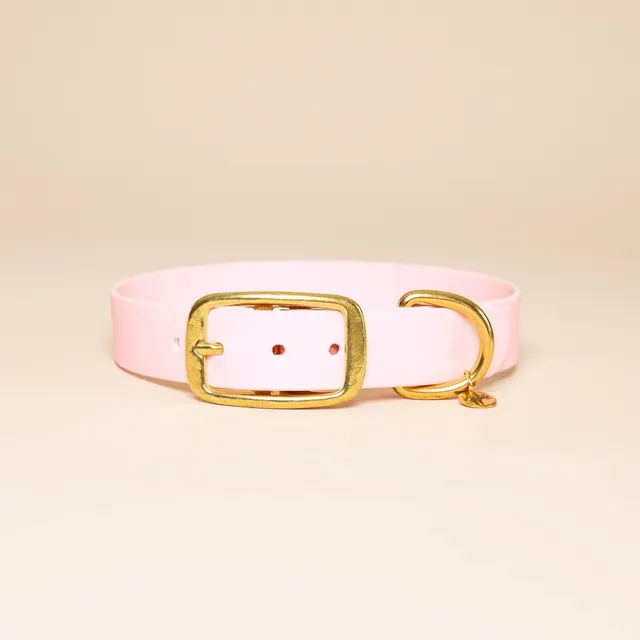fid-le-paris-l-aventurier-collier-chien-baby-rose image 1