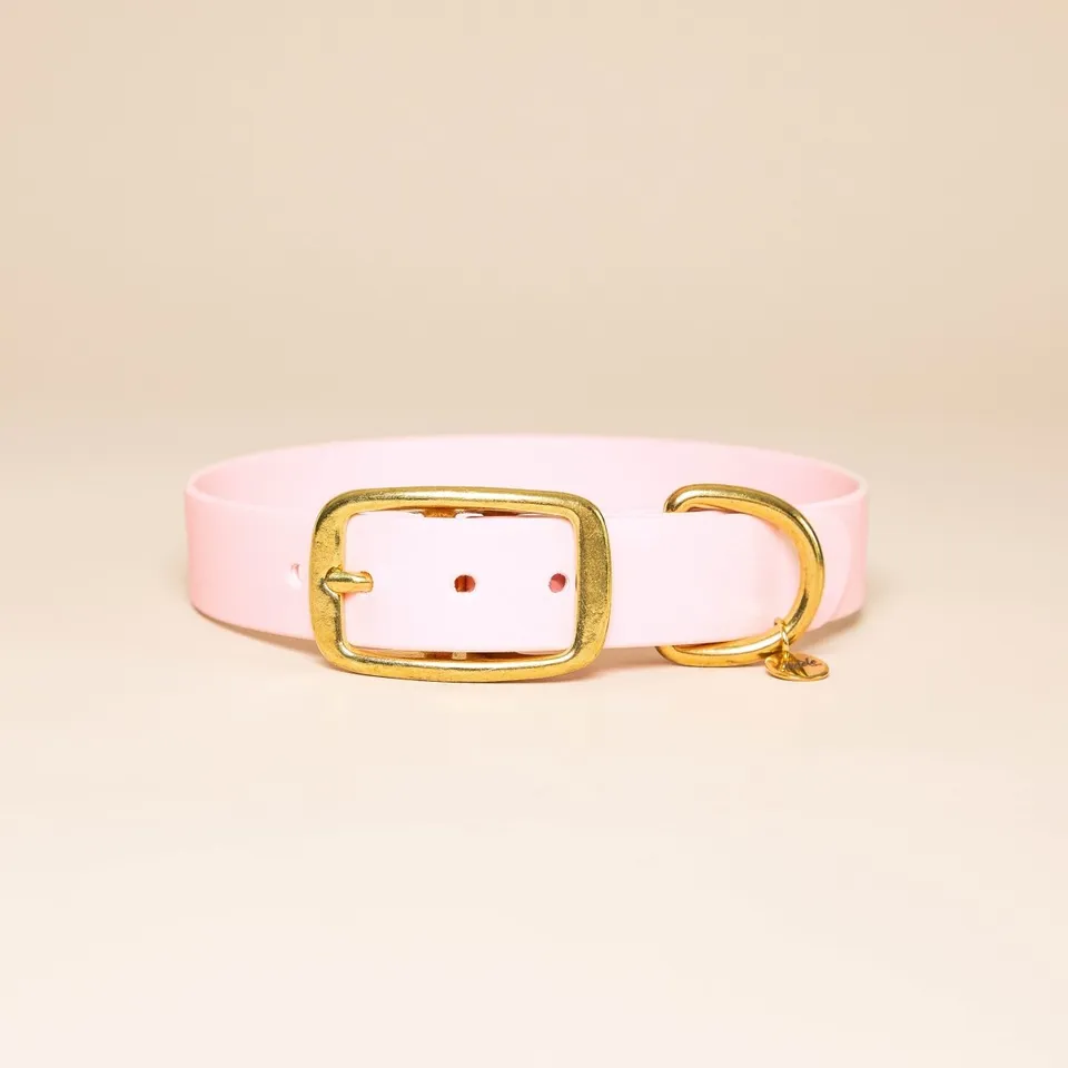 fid-le-paris-l-aventurier-collier-chien-baby-rose image 1