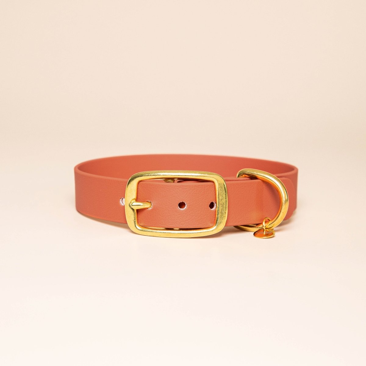 fid-le-paris-colliers-collier-chien-terracotta-laiton image 1