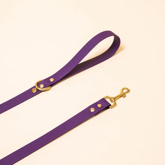fid-le-paris-l-aventurier-laisse-chien-violet-20-mm-imperm-able image 1