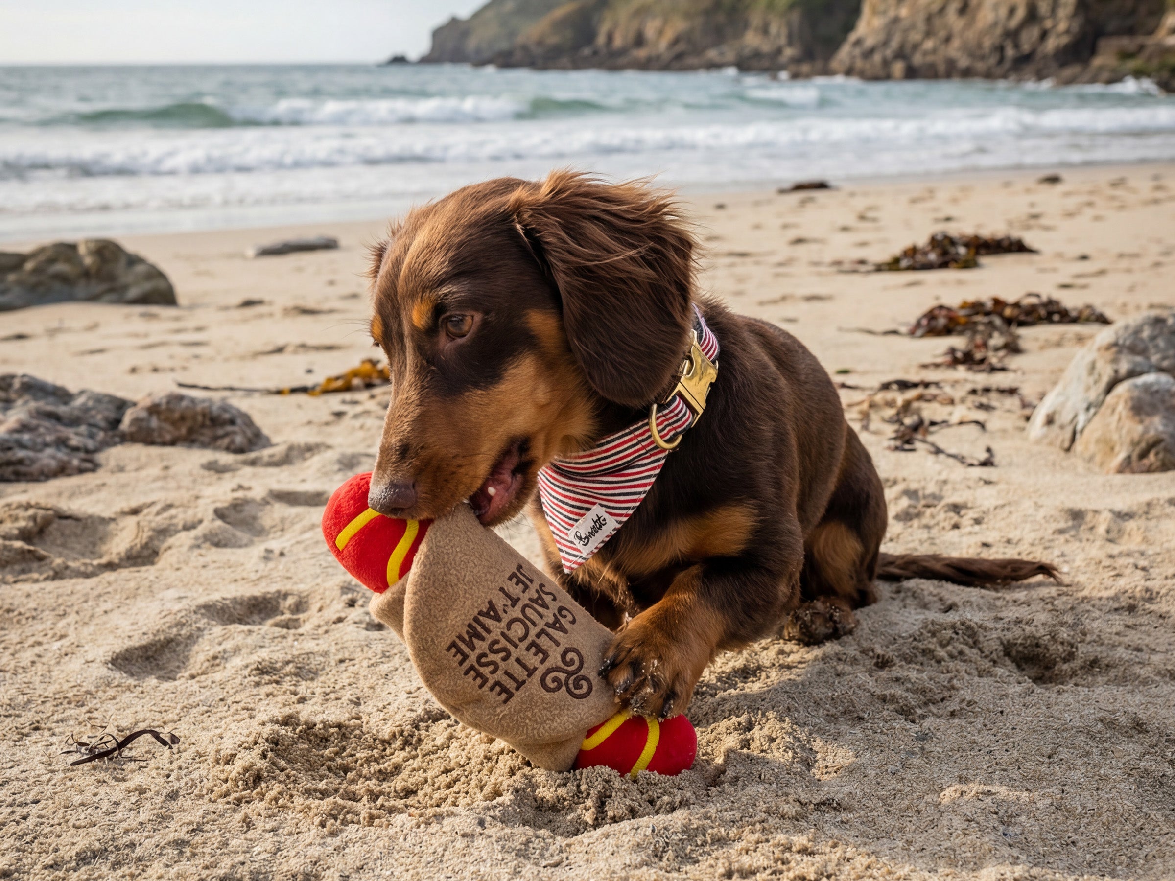 bandit-galette-saucisse-jouet-chien-couineur image 3