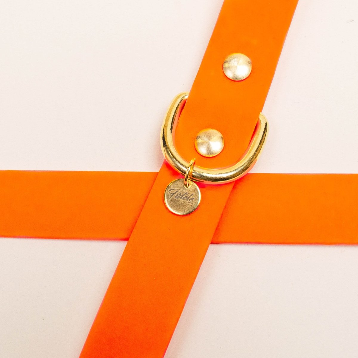 fid-le-paris-l-aventurier-laisse-chien-orange-fluo-20-mm image 3