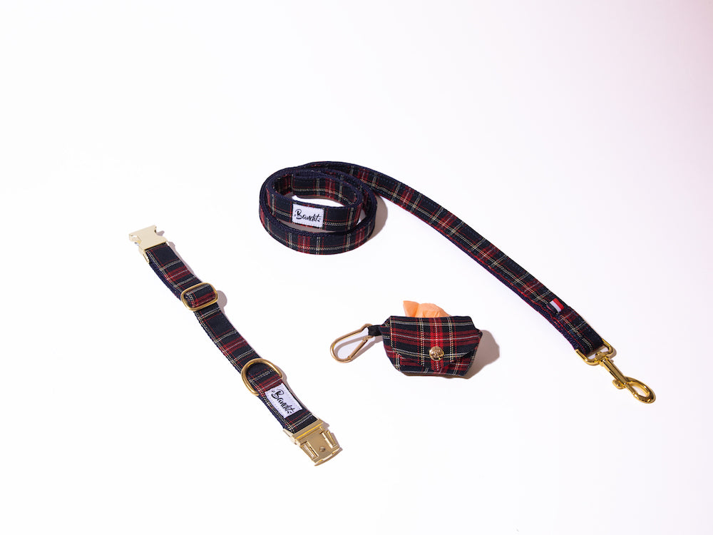 bandit-les-kits-collier-laisse-pochette-chien-moyen-the-french-banban-120cm image 6