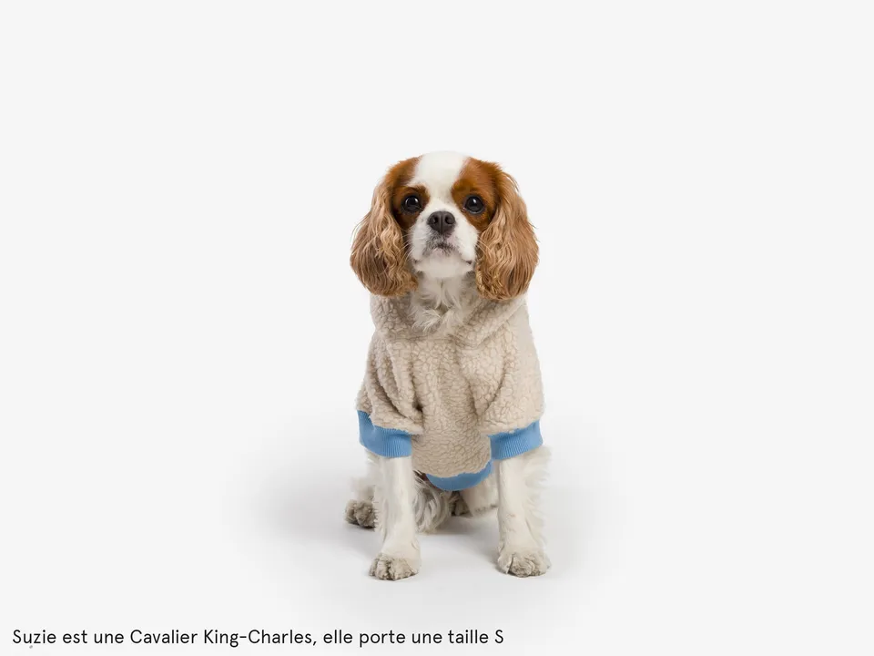 bandit-v-tements-hoodie-sherpa-pull-chien-bleu-everest-m-chaud image 1
