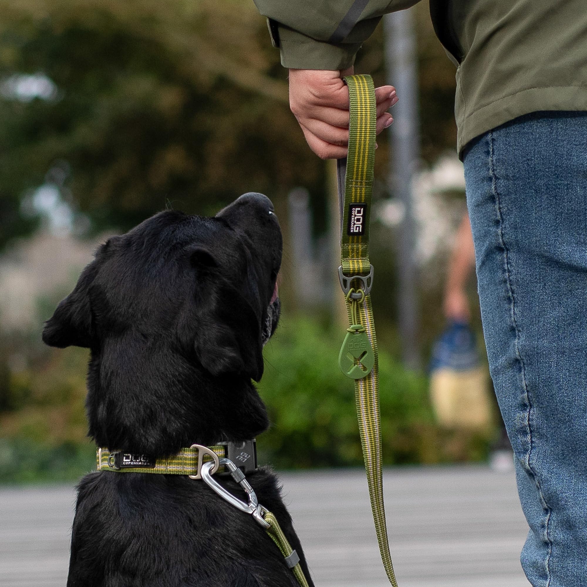 dog-copenhagen-flexy-porte-sac-crottes-desert-dune-taille-unique image 6