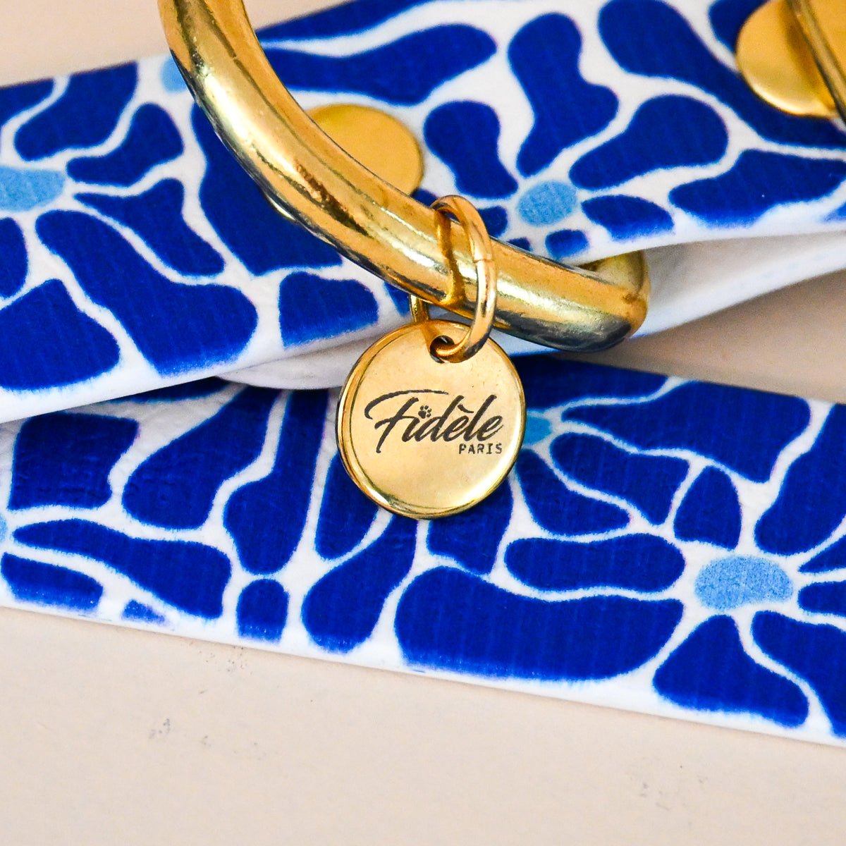 fid-le-paris-z-phir-collier-chien-bleu-vague-t image 2