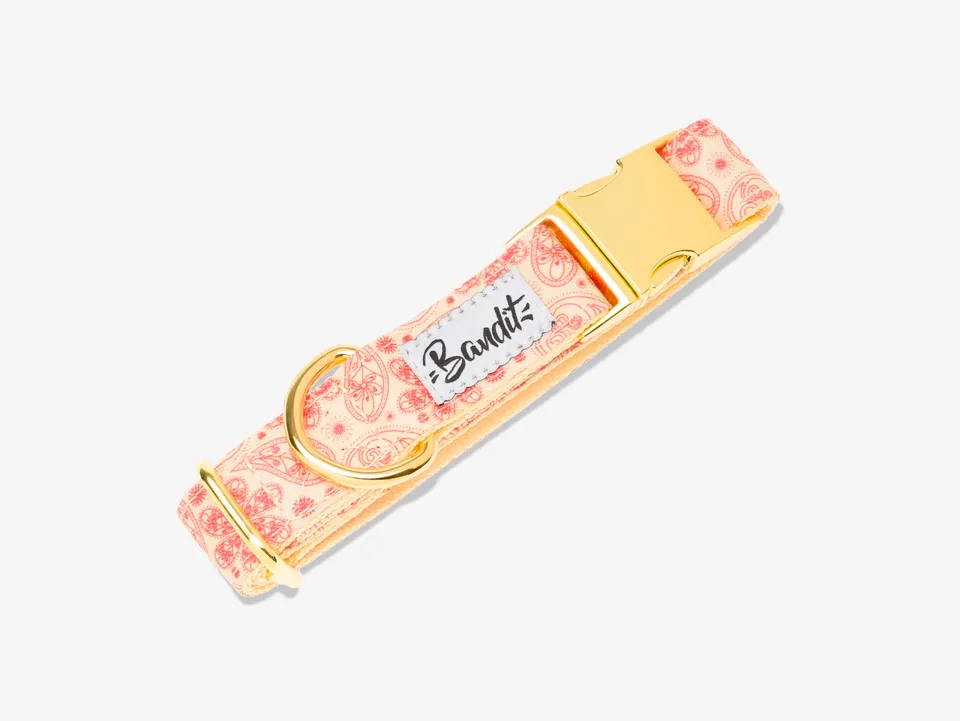 bandit-golden-vibe-collier-chien-paisley-jaune-moyen image 1