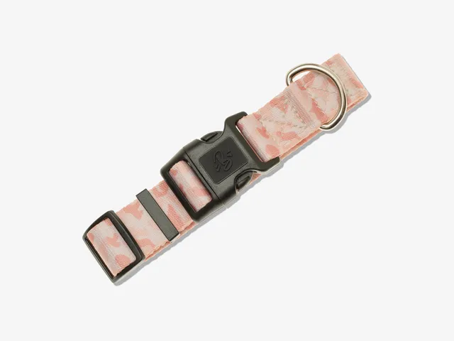 bandit-camolosse-collier-chien-camouflage-sable image 1
