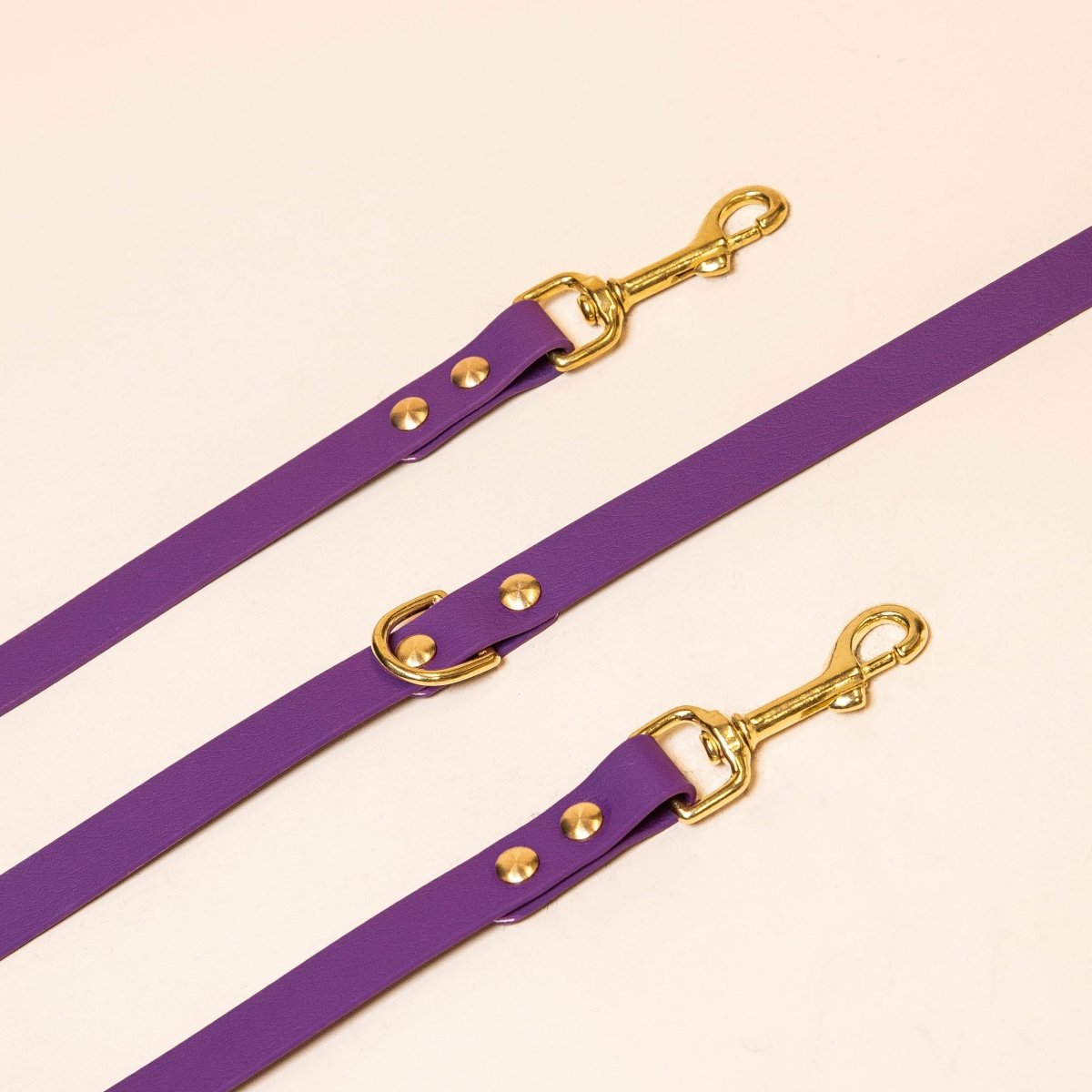 fid-le-paris-laisse-multi-positions-chien-violet-16-mm image 1